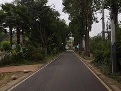 -三圣花乡旅游区