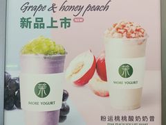 -茉酸奶(春熙路店)