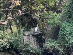 -南湾猴岛+椰田古寨一日游