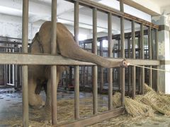 秦岭动物园-西安秦岭野生动物园