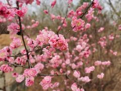 -鹫峰国家森林公园