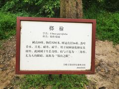 -大蜀山国家森林公园