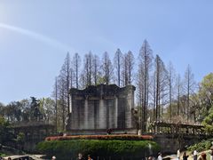 -音乐台