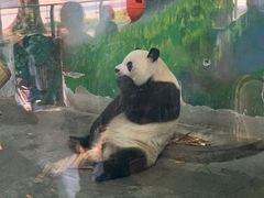 -无锡动物园·太湖欢乐园
