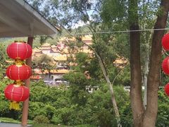 -东莞市大岭山森林公园