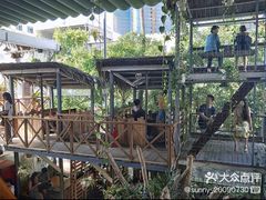 -Rainforest
