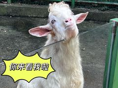 -杭州野生动物世界
