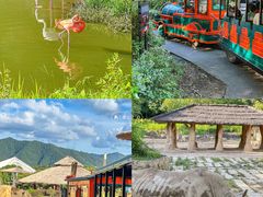 -杭州野生动物世界