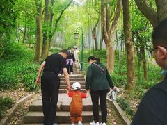 -杭州黄龙洞
