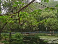-白水寺森林公园