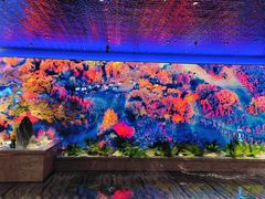 -金色年华养生会所(涵江店)