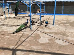 -森林公园(尖草坪区)