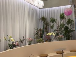 -韩芙莱芳疗spa健康管理