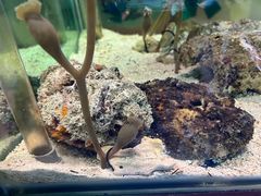 -太平洋海底世界