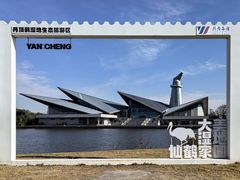 -盐城丹顶鹤湿地生态旅游区