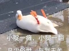 -城市传媒广场