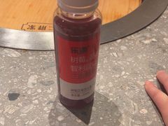 -二胖家铁锅炖大鹅(双井店)
