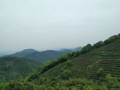 -西湖风景区十里琅珰-五云山