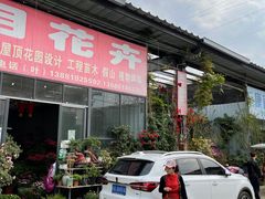 -金科花卉市场