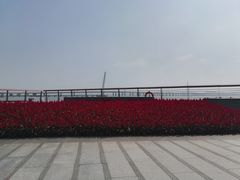 -深圳湾公园(南山区)