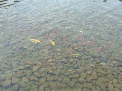 -安徽省地质博物馆