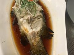 老虎斑-海景壹号大酒店(滨湖店)