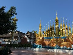 -西双版纳傣族园