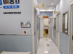 -纳吉亚猫专科动物诊疗中心(蒋宅口分院)