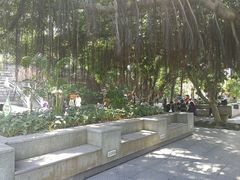 -船政文化景区-罗星塔公园