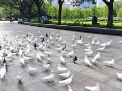 -人民广场