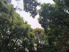 -上海宋庆龄故居纪念馆