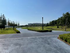 -春花秋色城市公园