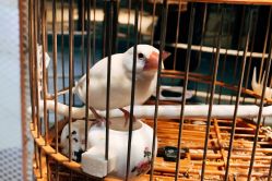 -酷嗒动物文化乐园(cutezoo西溪乐天城店)