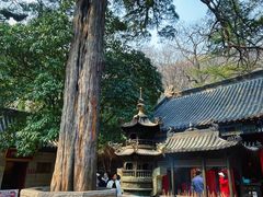 -青岛崂山太清宫