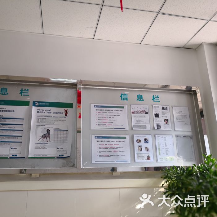 中国农业大学动物医院图片