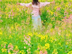 -三圣花乡旅游区