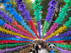 -水岸庭院·乡村柴火鸡