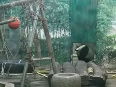 -柳州市动物园