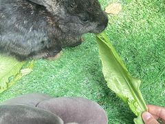 -海南热带野生动植物园