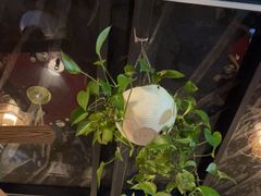 -生态苑农庄(十里画廊遇龙河店)