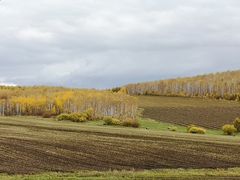 -莫尔道嘎国家森林公园