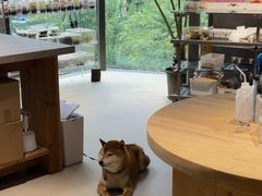 -瑞虹新天地月亮湾
