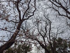 -颐和园