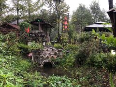 -青城甲(青城山店)