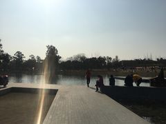 -两河城市森林公园
