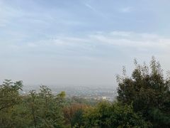 -北京西山国家森林公园