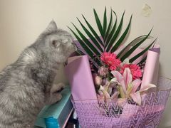 -糖潮量贩KTV(高新万达广场店)