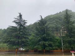 -陕西省红河谷森林公园
