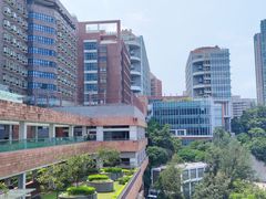 -香港大学