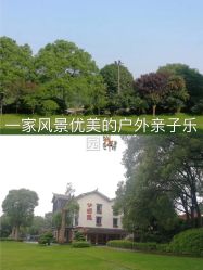 -长沙小顽国景区